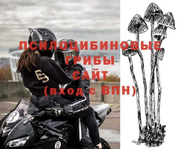 прущая мука Вяземский